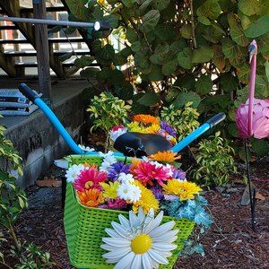 Meet your Posher, Mary